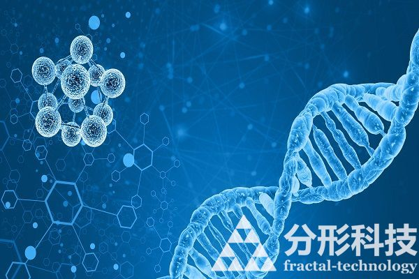 醫(yī)院網(wǎng)站建設(shè)：一站式醫(yī)療服務(wù)關(guān)愛您的每一天